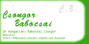 csongor babocsai business card